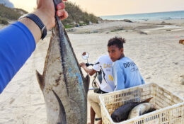 Socotra_2025 (68/76)